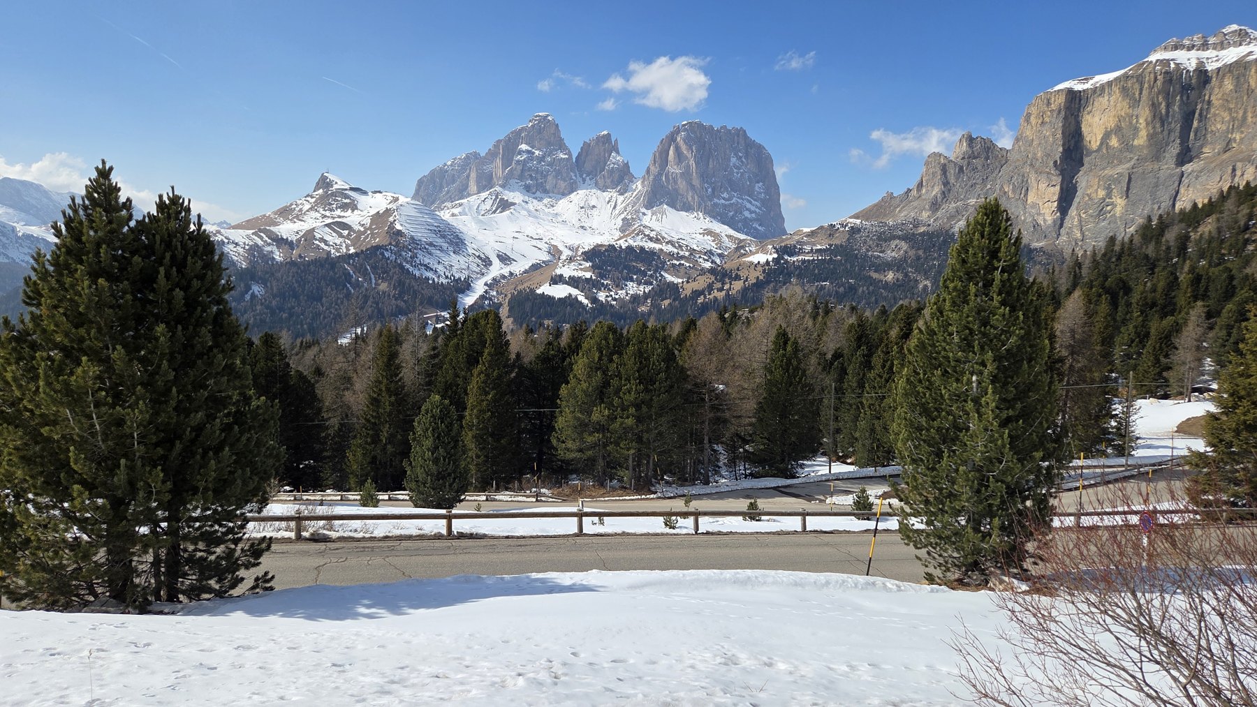 Golden woodland — Passo Pordoi / Italy