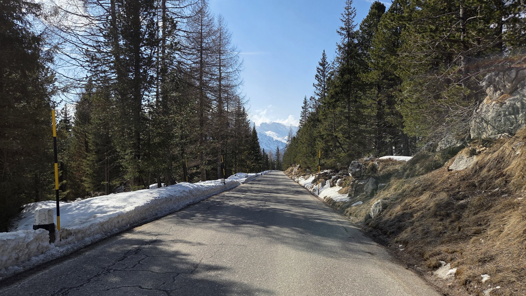 Forest roads — Passo Pordoi / Italy