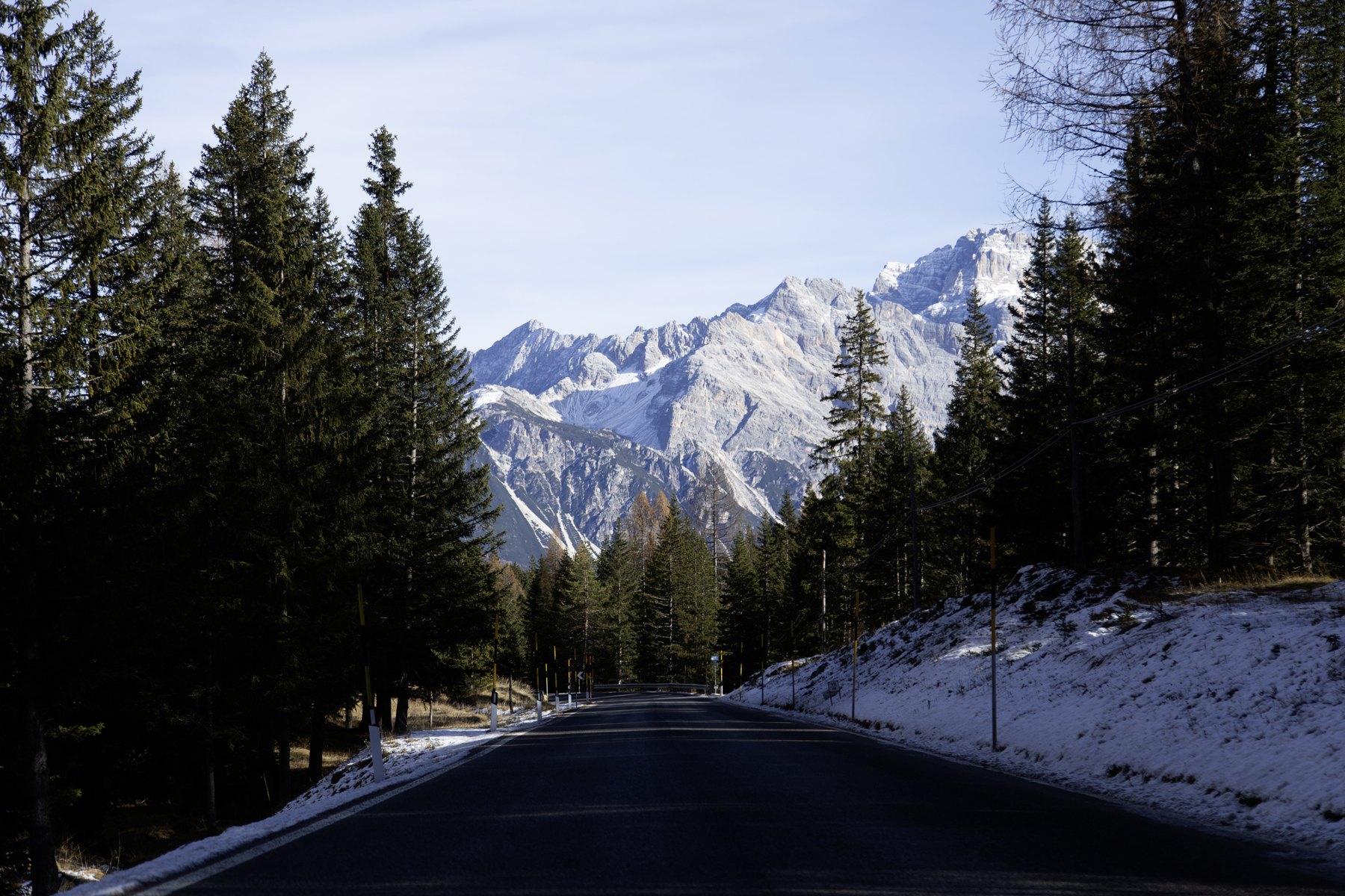 Forest roads — Rozes / Italy