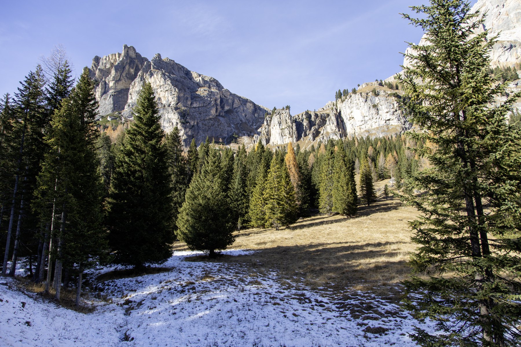 Forests & woodland — Rozes / Italy