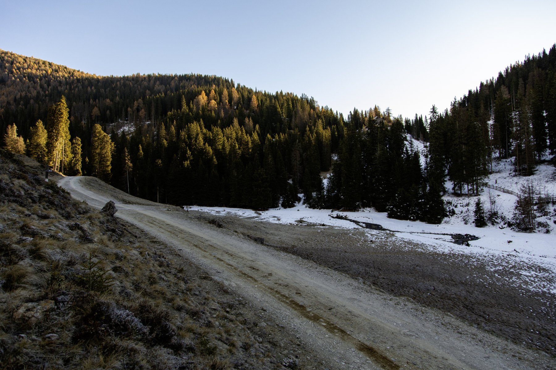 Forest roads — Silvestertal / Italy