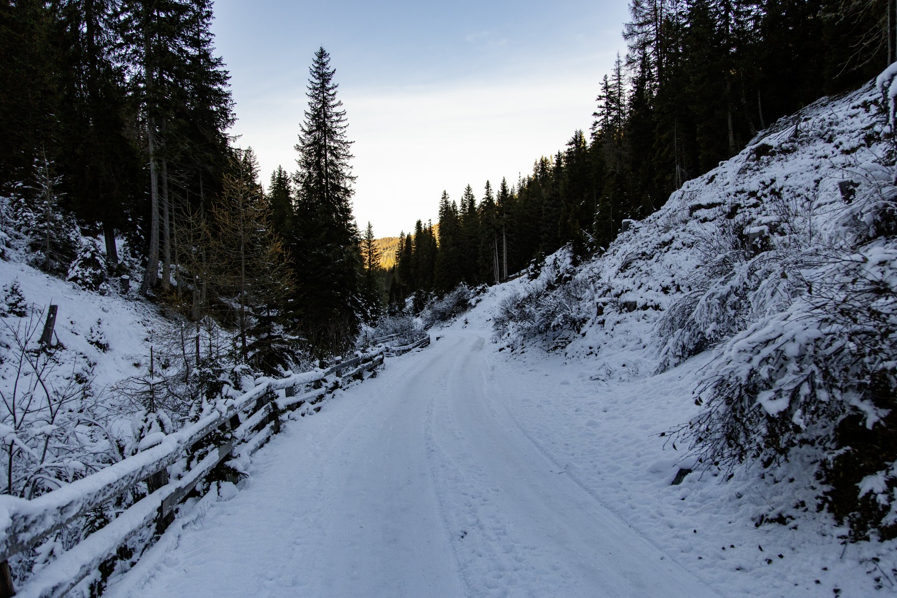 Forest roads — Silvestertal / Italy