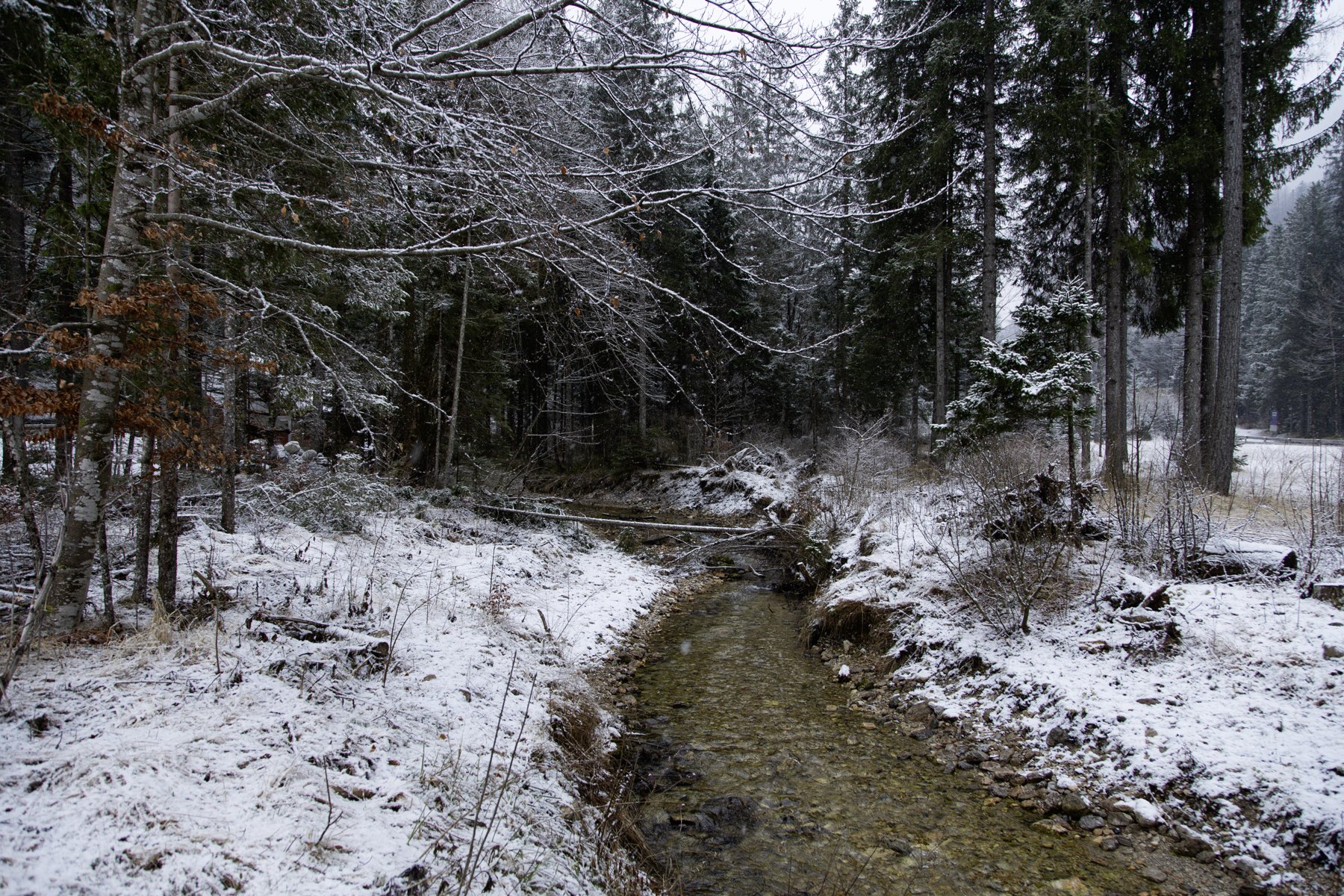 Rivers & streams — Jezersko / Slovenia