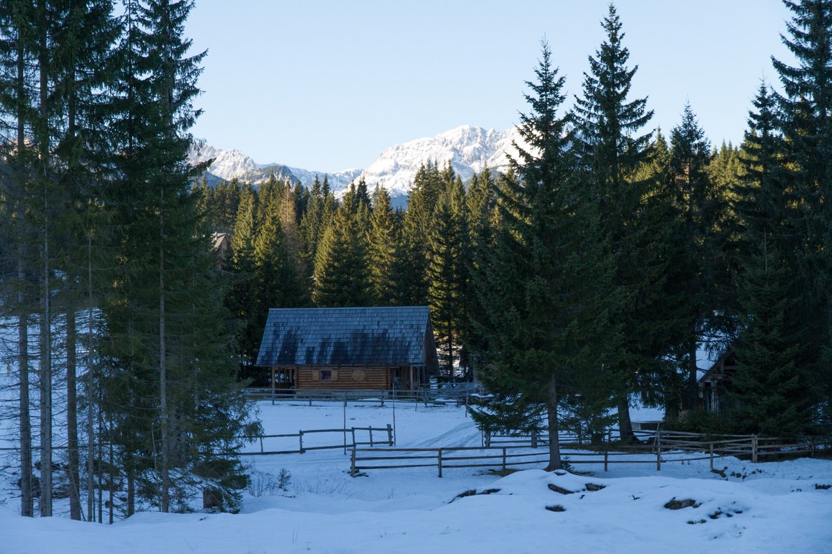 Cabins & mountain huts — Pokljuka / Slovenia